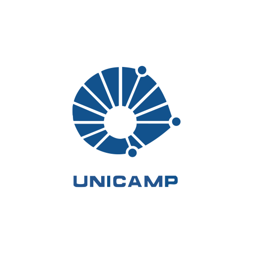 Unicamp - laudo de eficiência